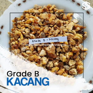 Grade B KACANG